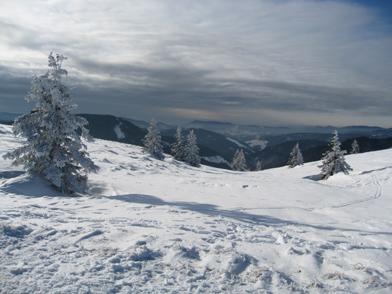 Winterlandschaft